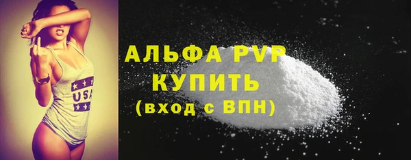 спиды Богородицк