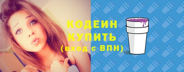 спиды Богородицк