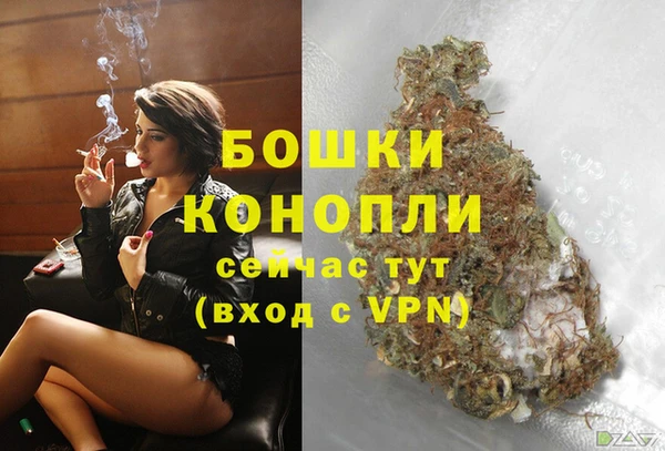 соль ск Богданович