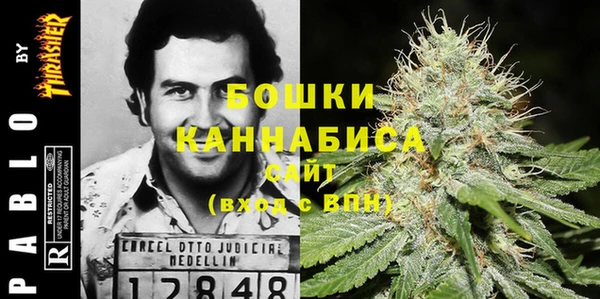 амф Белоозёрский