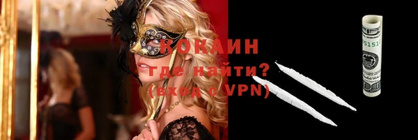 спиды Богородицк