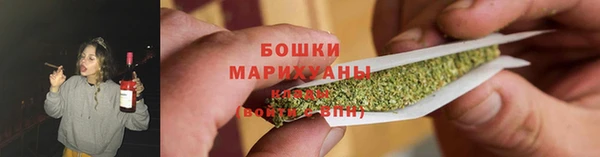 соль ск Богданович