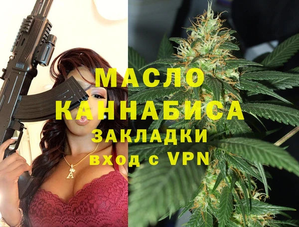 спиды Богородицк