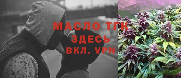 спиды Богородицк