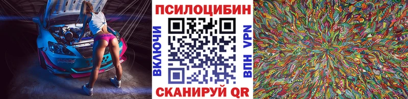 Псилоцибиновые грибы Cubensis  Клин 